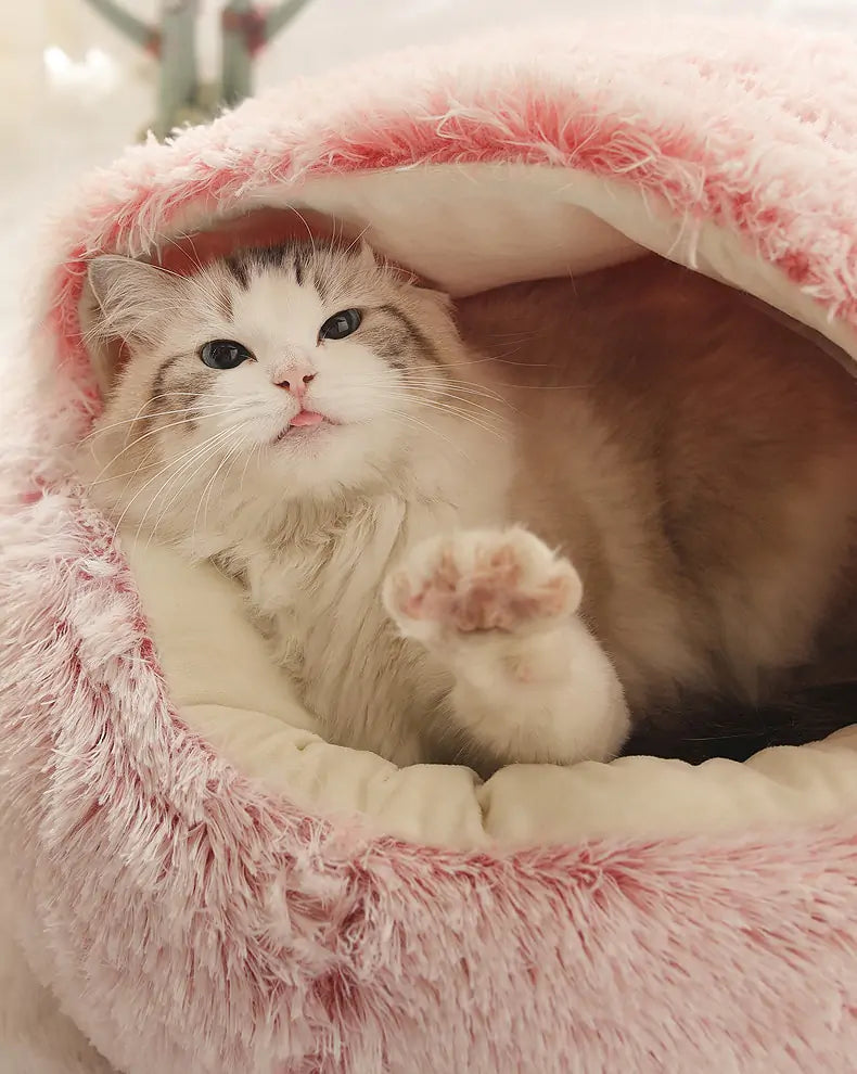 Pawfect Friend | The Cozy Pet Cave